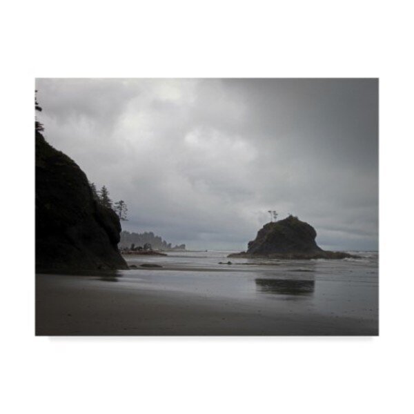 J.D. Mcfarlan 'Olympic Np 4' Canvas Art, 35x47, Trademark Fine Art, Mfr#: ALI37115-C3547GG
